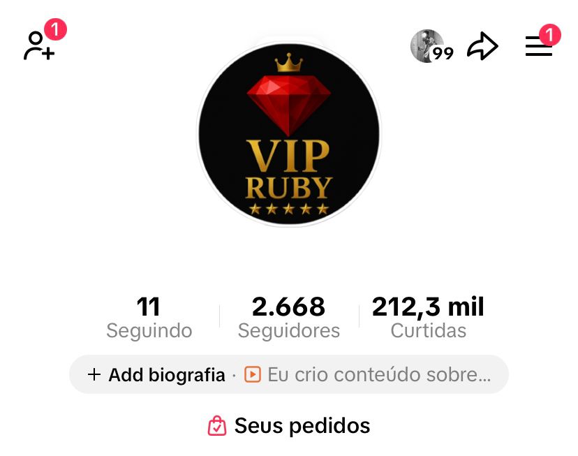 TikTok 2.266 seguidores TikTok 2.266 seguidores